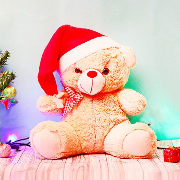 Christmas Teddy Bear Gift