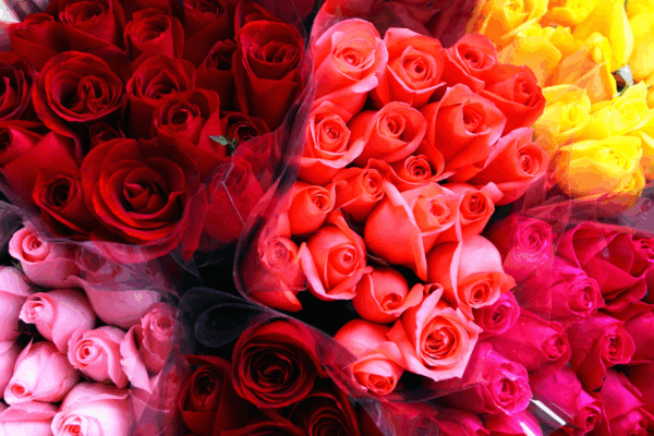 slider 1 Mothers day flowers and gifts Nairobi