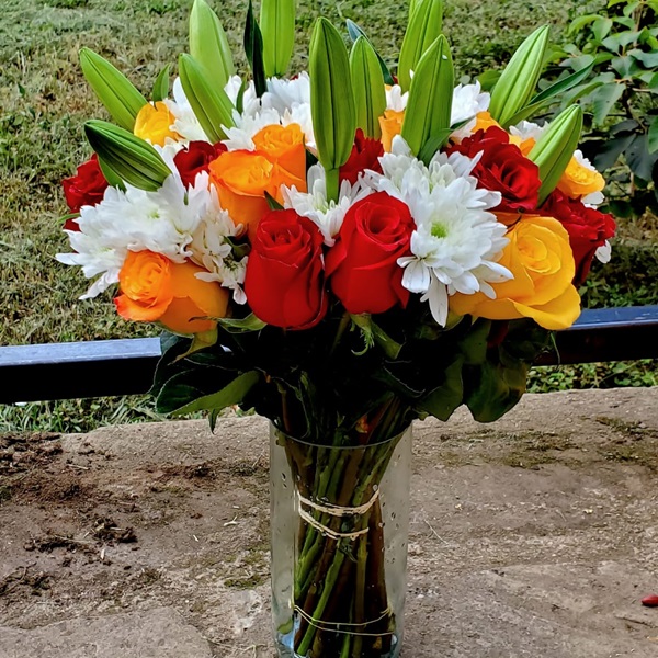 Lilies and roses Kenya
