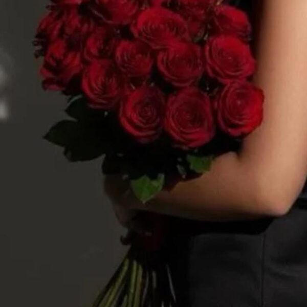 Elegant Red Roses.